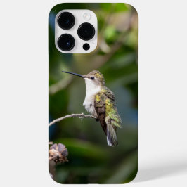 ノドアカハチドリ Case-Mate iPhone 14 PRO MAXケース