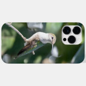 ノドアカハチドリ Case-Mate iPhoneケース (裏面 (横))