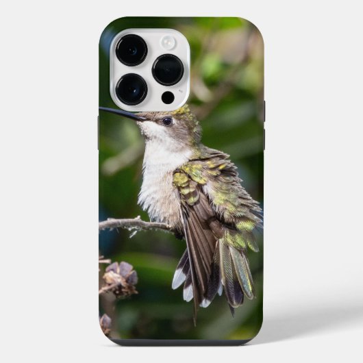 ノドアカハチドリ iPhoneケース (裏面)