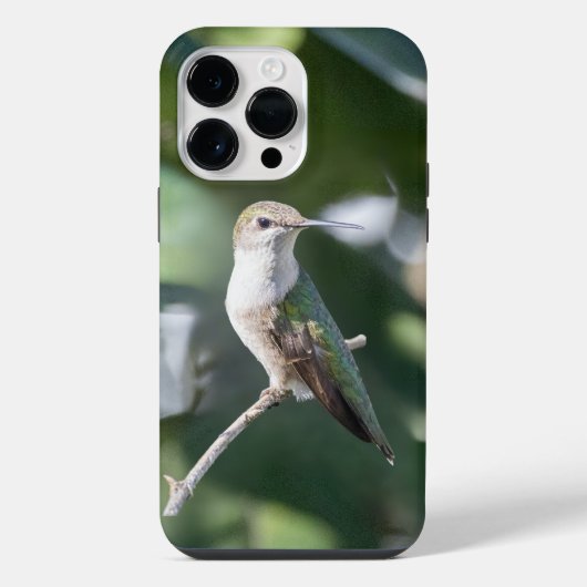 ノドアカハチドリ iPhoneケース (裏面)