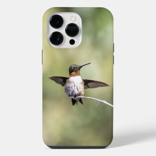 ノドアカハチドリ iPhoneケース (裏面)