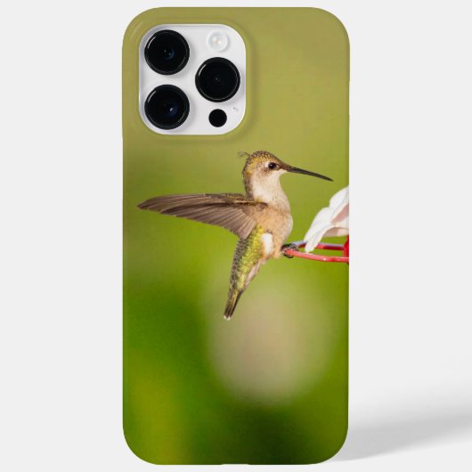 ノドアカハチドリ iPhoneケース #108A0605 Case-Mate iPhoneケース (裏面)