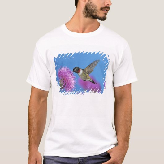 ノド紅ルビーハチドリ Tシャツ (正面)