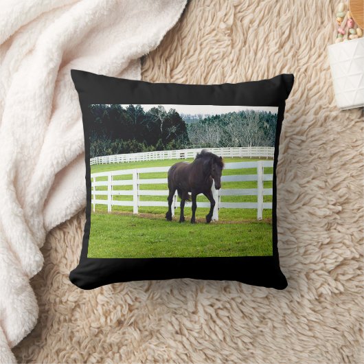 ノネッシュアットシダーポイント クッション (ブランケット)