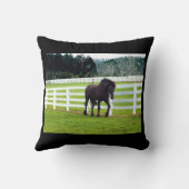 ノネッシュアットシダーポイント クッション (裏面)