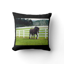 ノネッシュアットシダーポイント