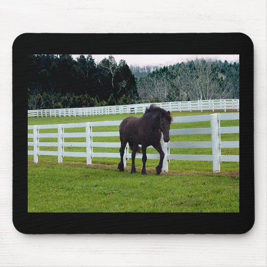 ノネッシュアットシダーポイント マウスパッド (正面)