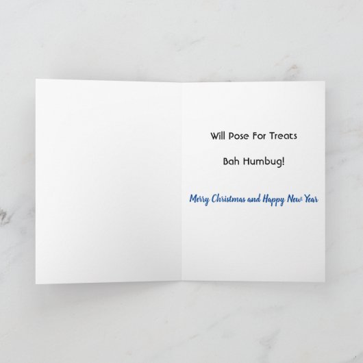 ノバガールのクリスマスライト – ゴールデンレトリエバードッグ シーズンカード (内部)