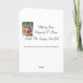 ノバガールのクリスマスライト – ゴールデンレトリバー シーズンカード (裏面)