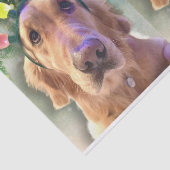 ノバザゴールデンレトリエバークリスマスティッシュペーパー 薄葉紙 (詳細)