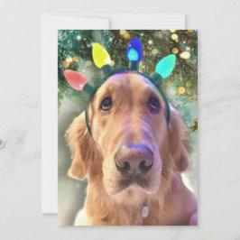 ノバザゴールデンレトリエバードッグクリスマス招待状 招待状
