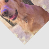 ノバザゴールデンレトリバーティッシュペーパー 薄葉紙 (詳細)