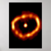 ノバシグニ1992 ポスター (正面)