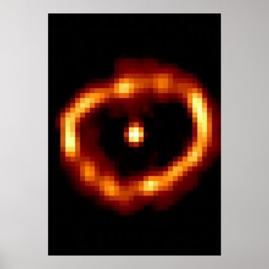 ノバシグニ1992 ポスター (正面)