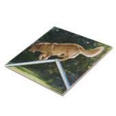 ノバスコシアのアヒル鳴るレトリーバー タイル (側面)