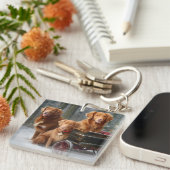 ノバスコシアダックトレラーレトリエバースノーイーズレイ キーホルダー (正面右)