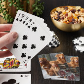 ノバスコシアダックトレラーレトリエバースノーイーズレイ トランプ (インサイチュ)