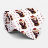 ノバスコシアダックトレリンレトリエバーサンタポーズ ネクタイ (ロール)