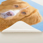 ノバスコシアダックトレリンレトリエバードッグ絵画ズ シェルパブランケット (3/4)