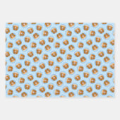 ノバスコシアダックトレリンレトリエバードッグ絵画ズ ラッピングペーパーシート (正面)