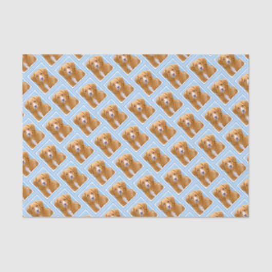 ノバスコシアダックトレリンレトリエバードッグ絵画ズ 薄葉紙 (正面)