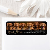 ノバスコシアダックトーラーズ差出人住所ラベル ラベル (インサイチュ)