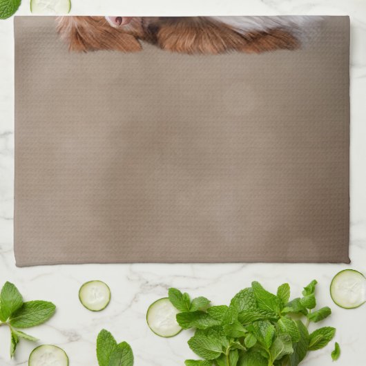 ノバスコシアダックトーリングリトリーバー犬 キッチンタオル (折り畳み)