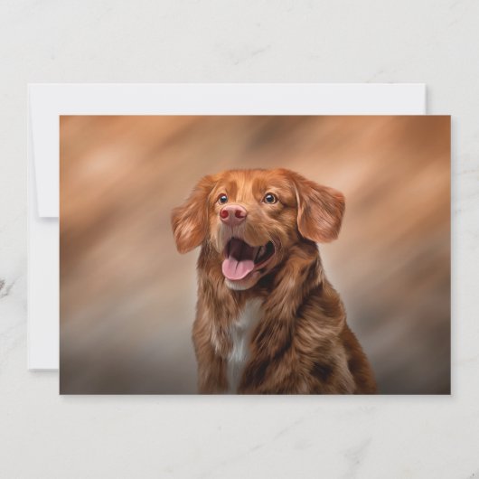 ノバスコシアダックトーリングリトリーバー 招待状 (裏面)