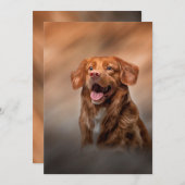 ノバスコシアダックトーリングリトリーバー 招待状 (正面/裏面)