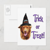 ノバスコシアダックトーリングレトリエバートリック ポストカード (正面/裏面)