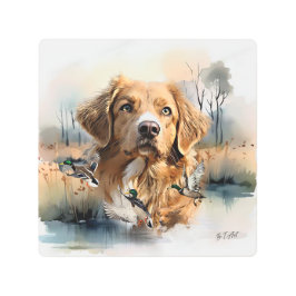 ノバスコシアダックトーリングレトリバー，アート メタルプリント