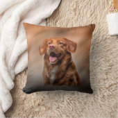 ノバスコシアダックトーリングレトリバー クッション (ブランケット)