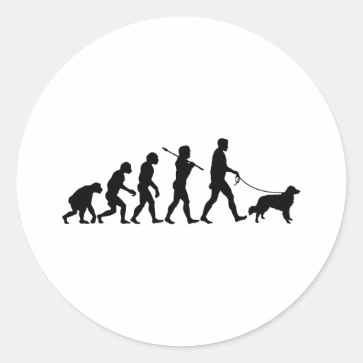 ノバスコシアダックトーリングレトリバー ラウンドシール (正面)