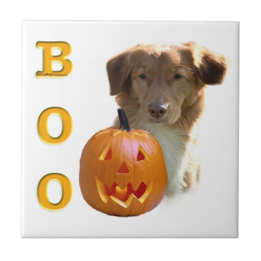 ノバスコシアハロウィーンブー タイル (正面)