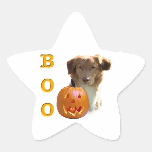 ノバスコシアハロウィーンブー 星シール (正面)