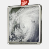 ノバスコシア上空のハリケーン法案 メタルオーナメント (左)