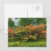 ノバスコシア州ハリファックスの花を咲かせる木々 ポストカード (正面/裏面)