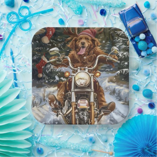 ノバスコシア犬オートバイクリスマスに乗る ペーパープレート (パーティー)