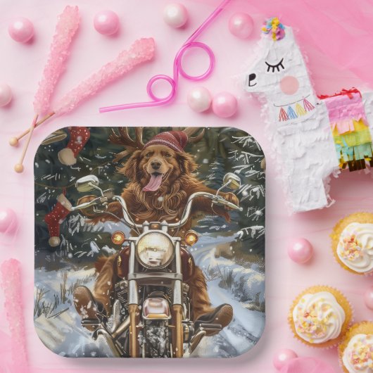ノバスコシア犬オートバイクリスマスに乗る ペーパープレート (パーティー)