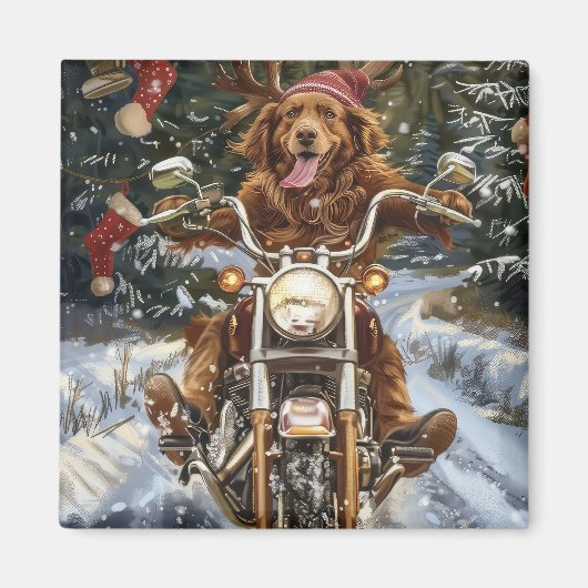 ノバスコシア犬オートバイクリスマスに乗る マグネット (正面)