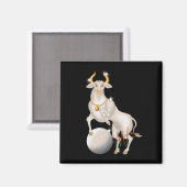 ノバタウラスヴィーナス〔占星術の〕十二宮図 マグネット (正面/裏面)