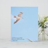 ノバードソールハイシーガルスクラップブック紙 (スタンド正面)