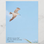 ノバードソールハイシーガルスクラップブック紙 (正面)