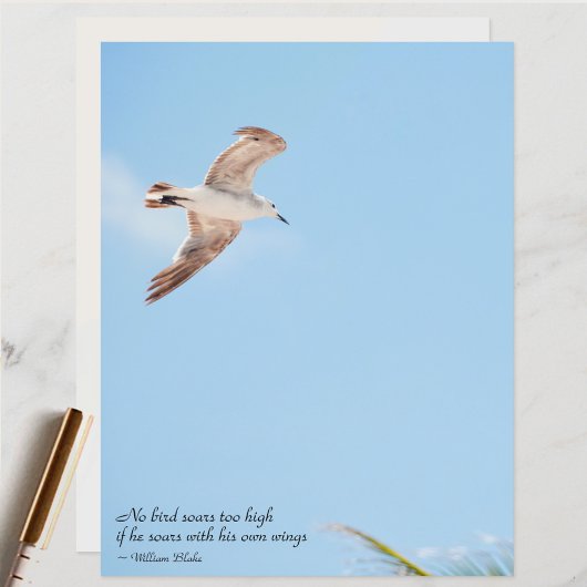 ノバードソールハイシーガルスクラップブック紙