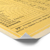 ノバ国際的スコシア州の汽船ルート ポスター (角)