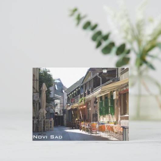 ノビサド ポストカード (スタンド正面)