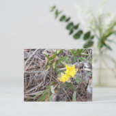 ノフィスサンキューカード サンキューカード (スタンド正面)