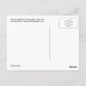 ノブスカ灯台，ウッズホール，ケープコッド ポストカード (裏面)