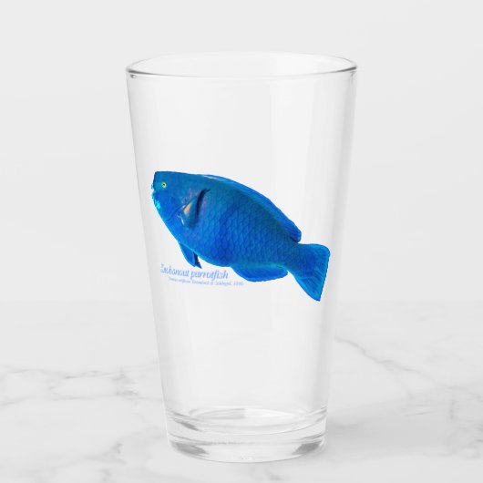 ノブスナウオ杯 タンブラーグラス (正面)