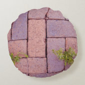 ノベルティレッ素朴ドレンガ舗装用歩道雑草 ラウンドクッション (裏面)